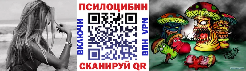 KRAKEN   Анжеро-Судженск  Галлюциногенные грибы Psilocybe 